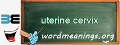 WordMeaning blackboard for uterine cervix